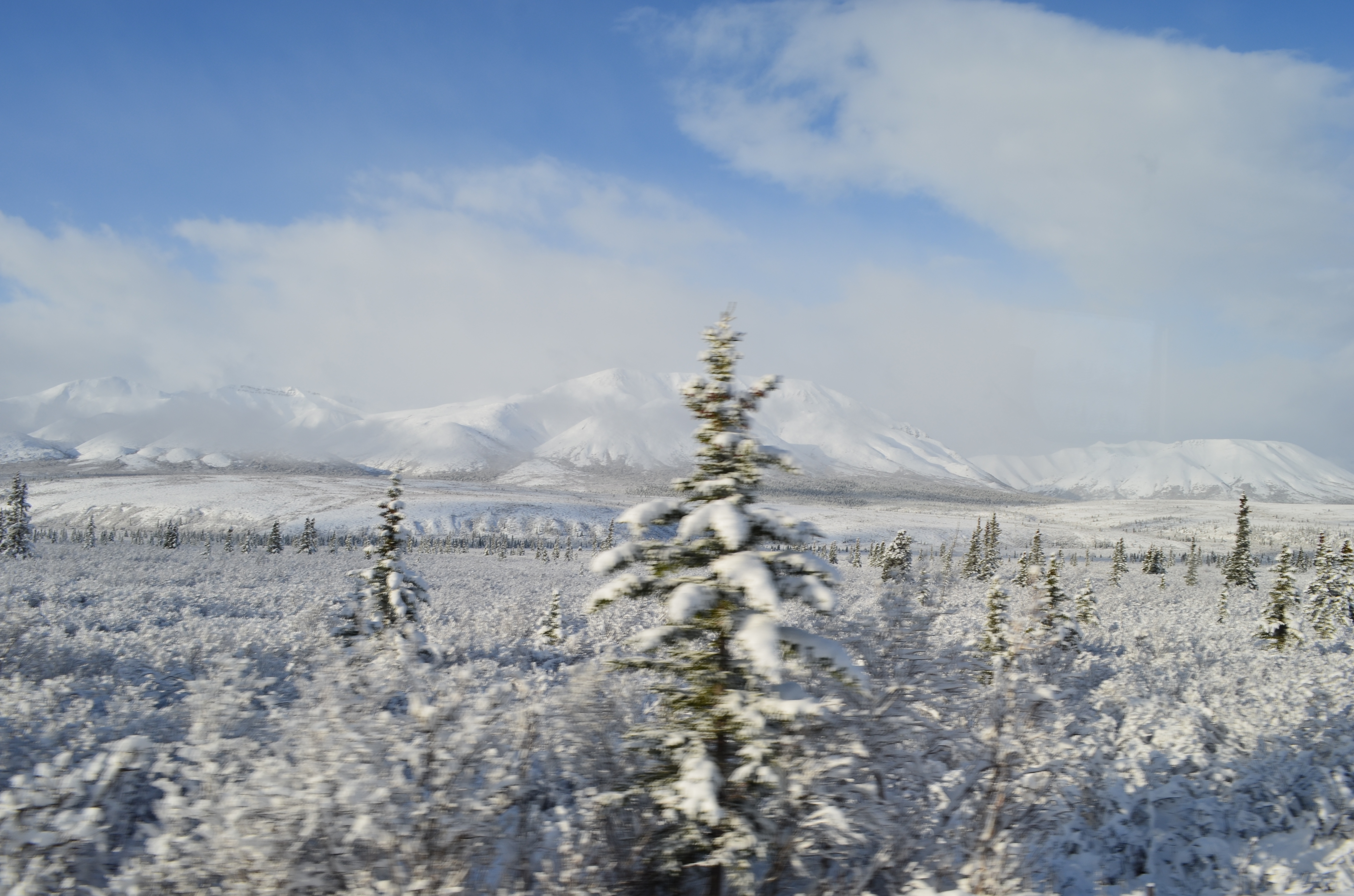 ./2017/08 - Alaska Cruise/03 - Denali/DSC_0224.JPG